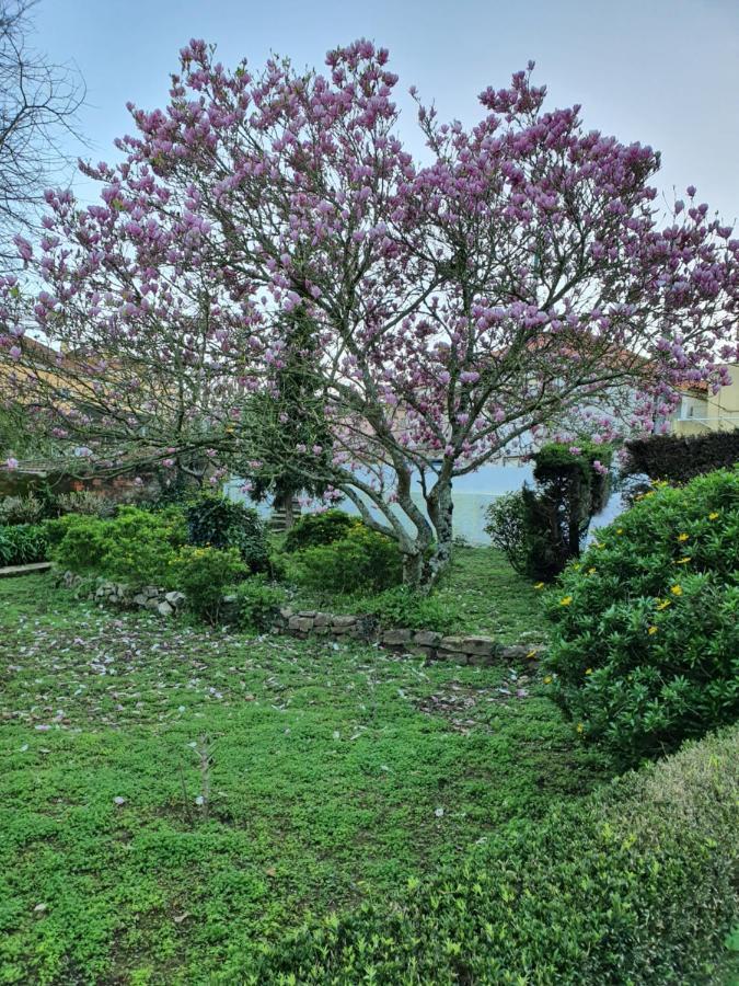 Comfy Sintra Bed and Breakfast Buitenkant foto